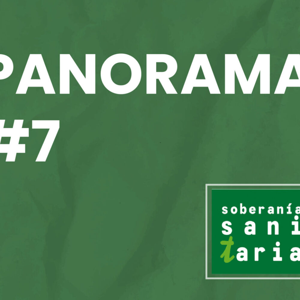 Panorama #7